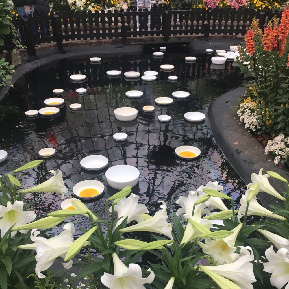 Meet your Posher, Eliana